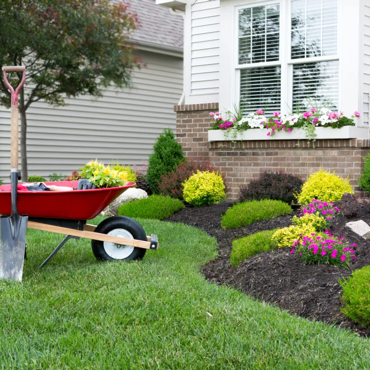 Mulched flowerbed