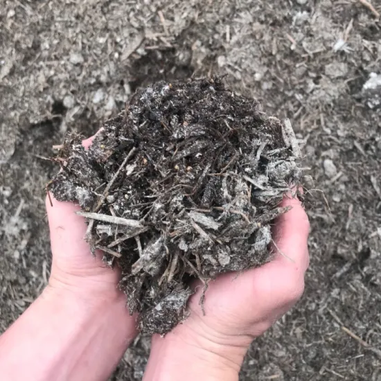 Mushroom Compost